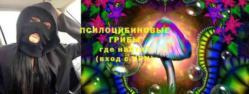 Псилоцибиновые грибы MAGIC MUSHROOMS  kraken как зайти  Бавлы 